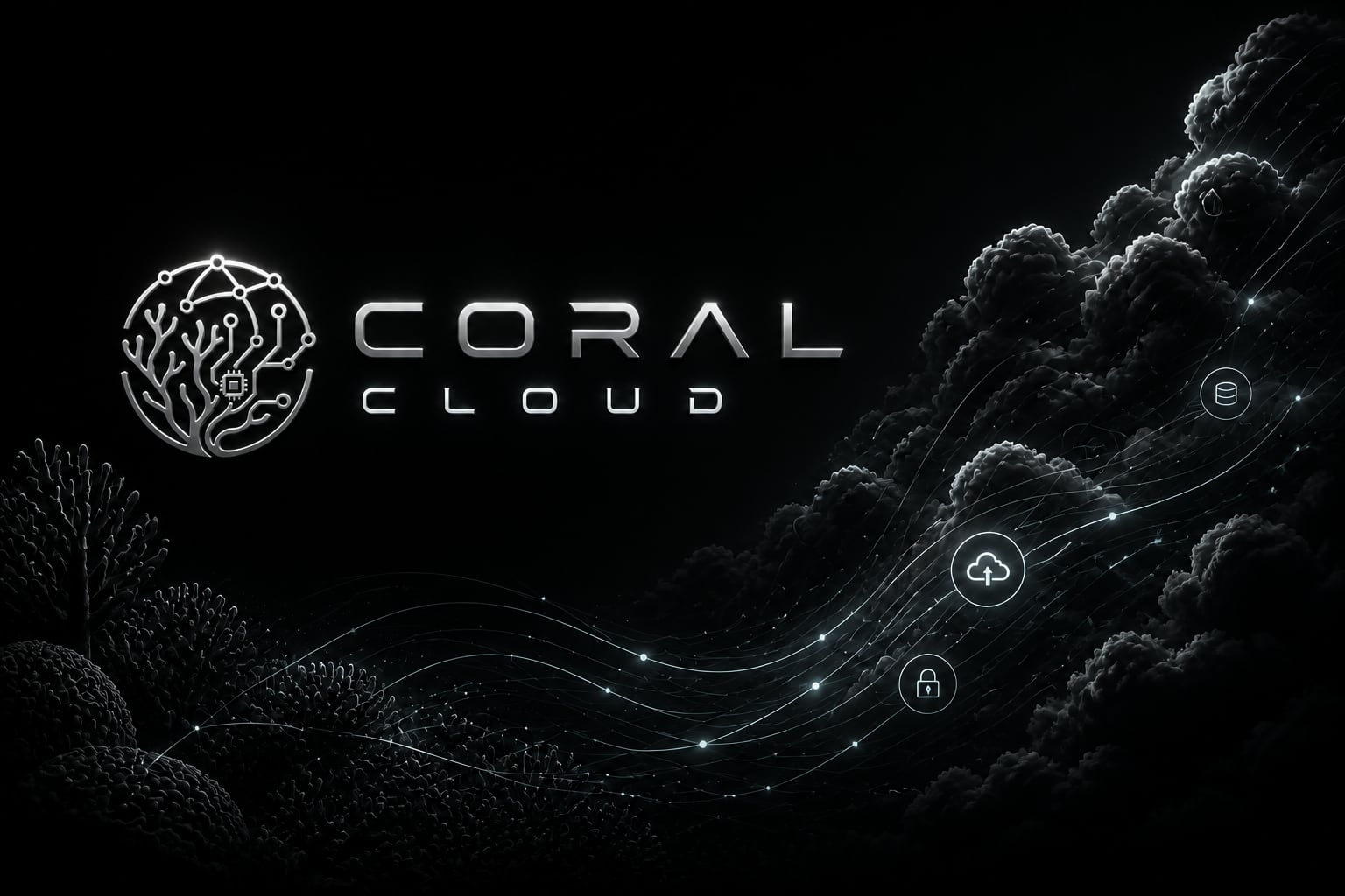 CoralDC Coral Cloud infrastructure concept